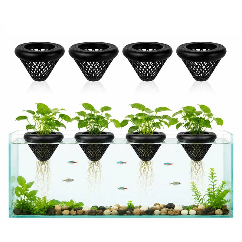 A set of four black floating aquarium plant holders with suction cups and a glass tank containing aquatic plants and fish.