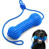 Dual-Action Canine Dental Prop for Dogs