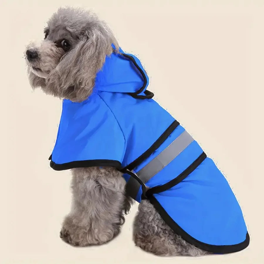 Helles blaues wasserdichtes Hundewetterkleid mit Kapuze und grauem Fell