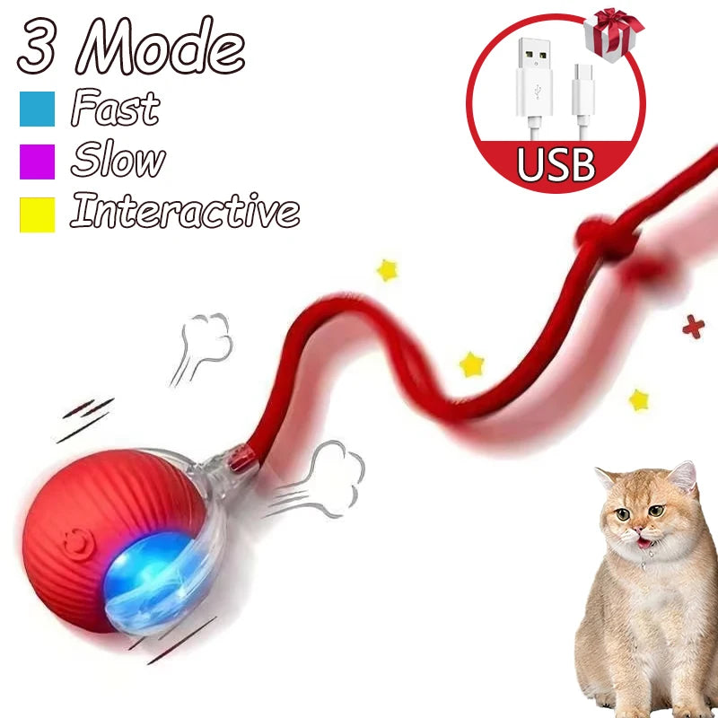 Rotes automatisches Rollspielzeug für Katzen mit USB-Verbindung, das drei Modi (Schnell, Langsam, Interaktiv) demonstriert.