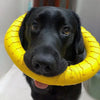 Jouet en caoutchouc indestructible pour chien