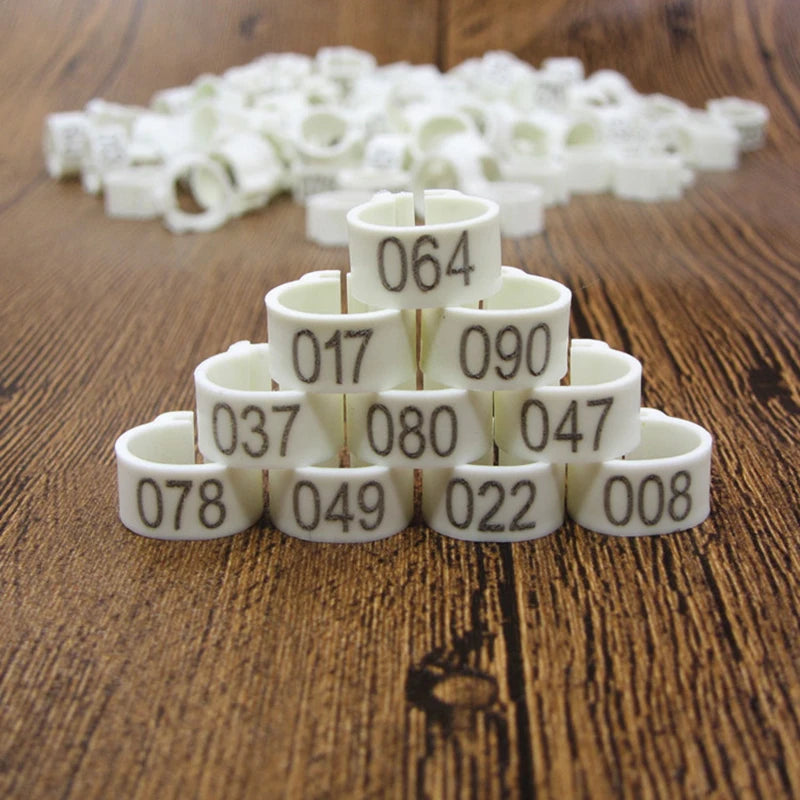 A collection of white plastic bird identification foot rings arranged in a pyramid on a wooden surface.