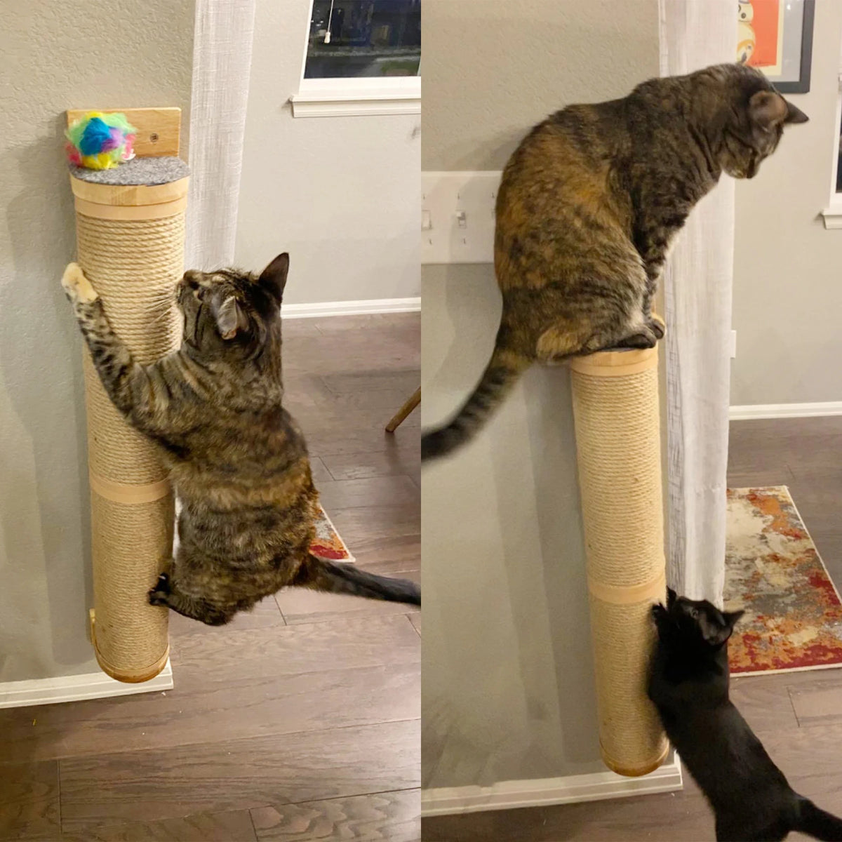 Cat Scratching Post with Sisal and Wood