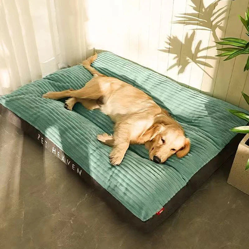 Ein Golden Retriever liegt auf einem türkisfarbenen Samt-Hundbett mit abnehmbarem Überzug in einem hellen Raum.
