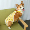 Adjustable Dog Diaper Pants with Suspenders