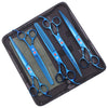 A set of professional stainless steel pet grooming scissors in blue and silver housed in a black case.