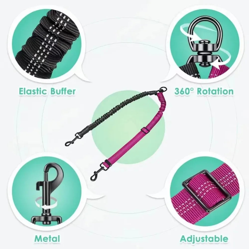 Dual Dog Leash with Shock-Absorbing Bungee (16 ft)