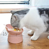 A tabby and white cat is eating from a pink ergonomic elevated pet bowl, demonstrating its use.