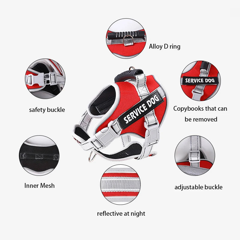 A dog harness featuring an Alloy D ring, safety buckle, inner mesh, and adjustable buckle, designed to be reflective at night