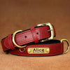 Personalisierte gepolsterte Leder-Hundehalsband mit graviertem Namensschild