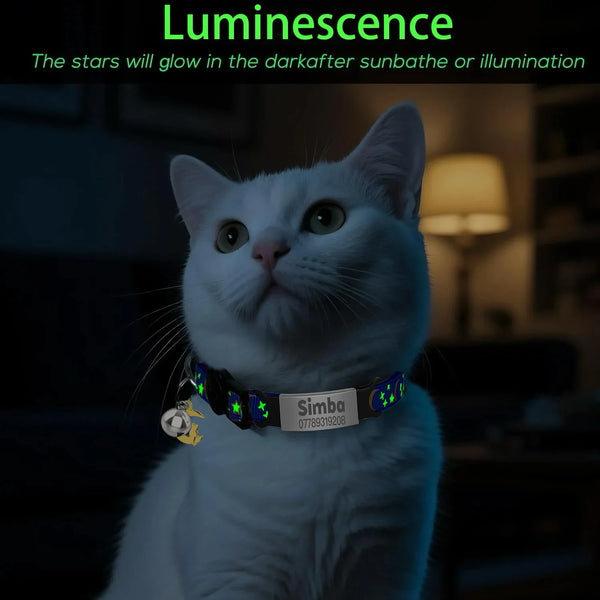 A white cat wearing a black collar with an engraved ID tag looking towards the camera.