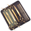 A black case containing professional stainless steel pet grooming scissors and a comb.