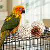 Natural Foraging Box Bird Toy with Foot Toys for Parakeets, Cockatiels, Conures, and Lovebirds