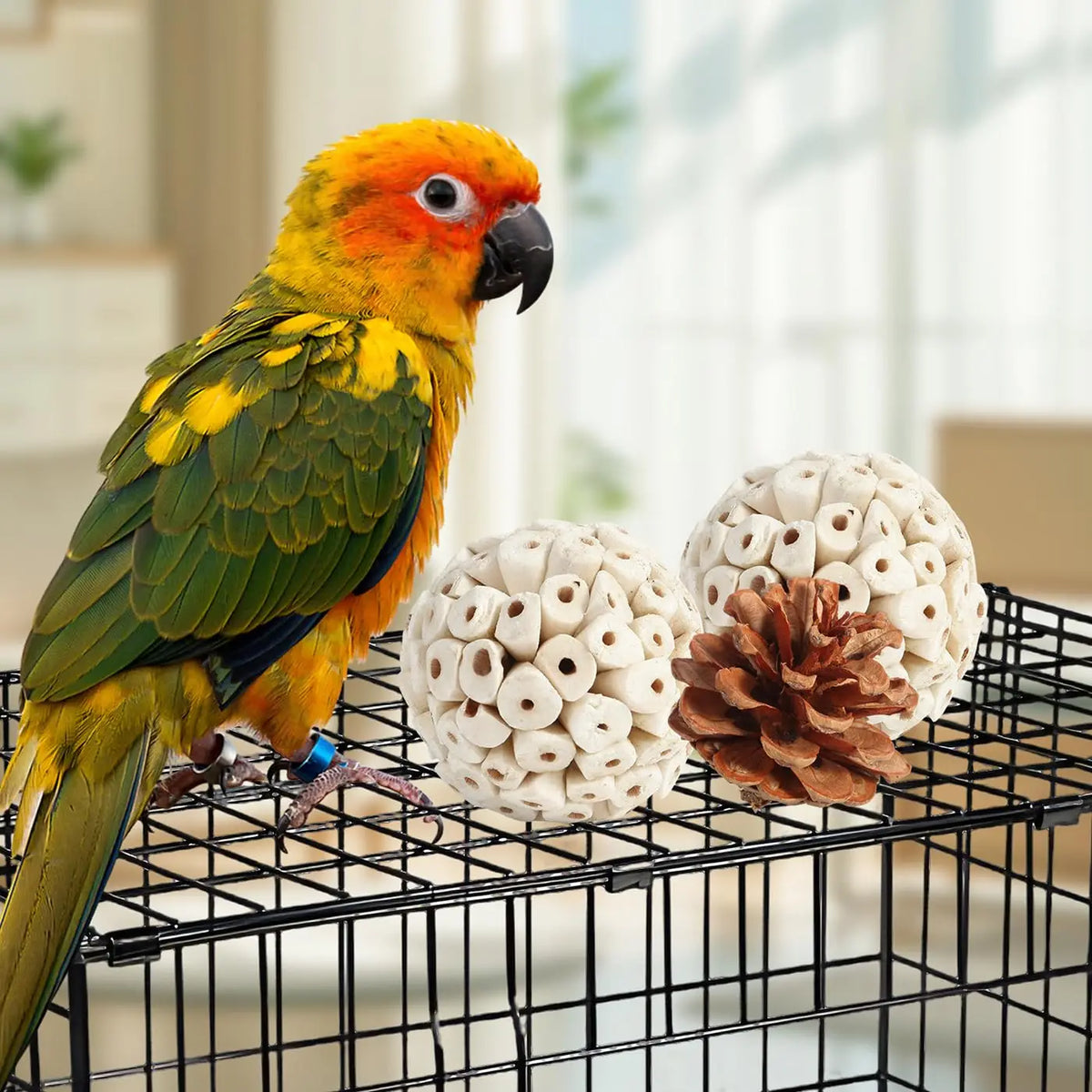 Natural Foraging Box Bird Toy with Foot Toys for Parakeets, Cockatiels, Conures, and Lovebirds