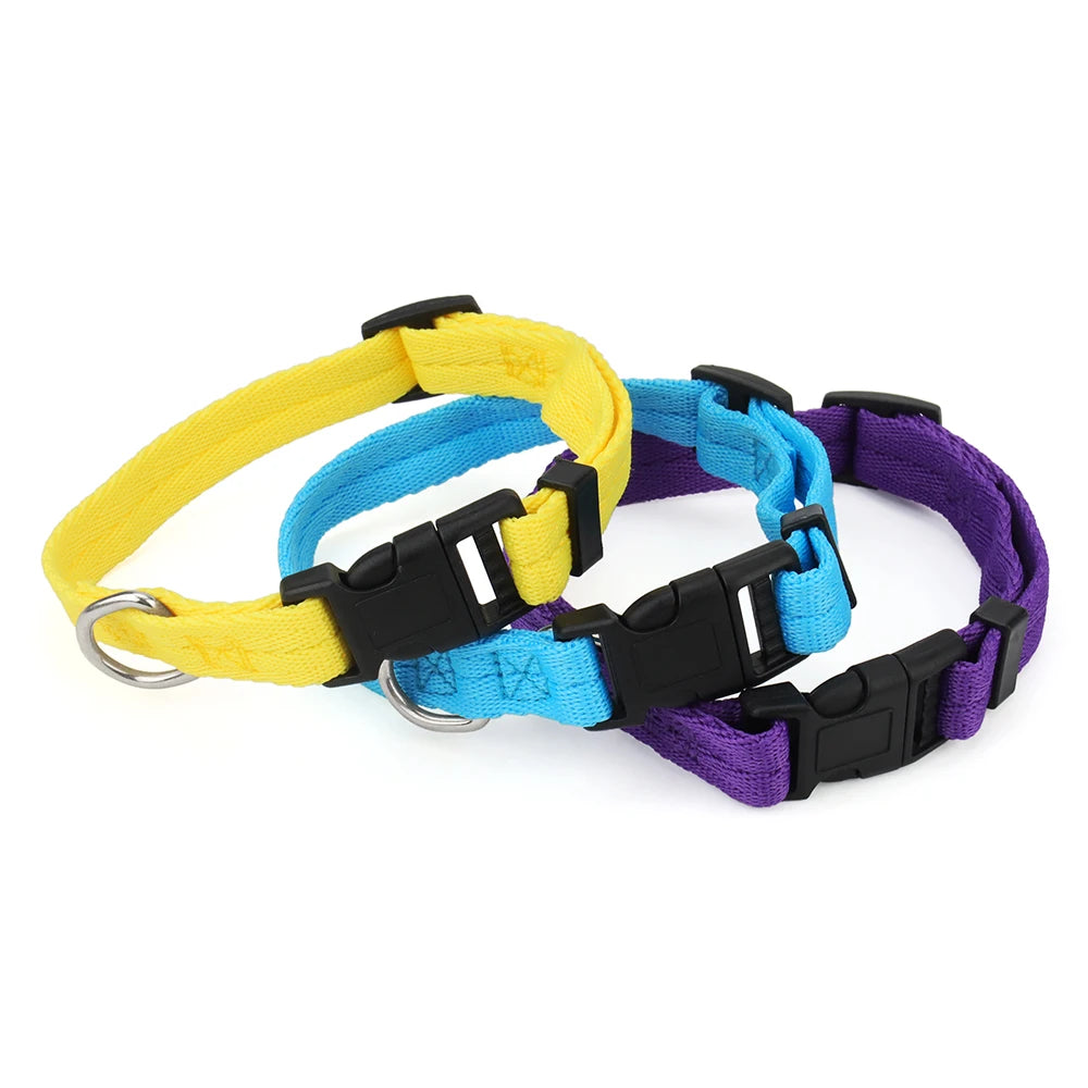 Three adjustable nylon dog collars in yellow, blue, and purple with black quick-release buckles
