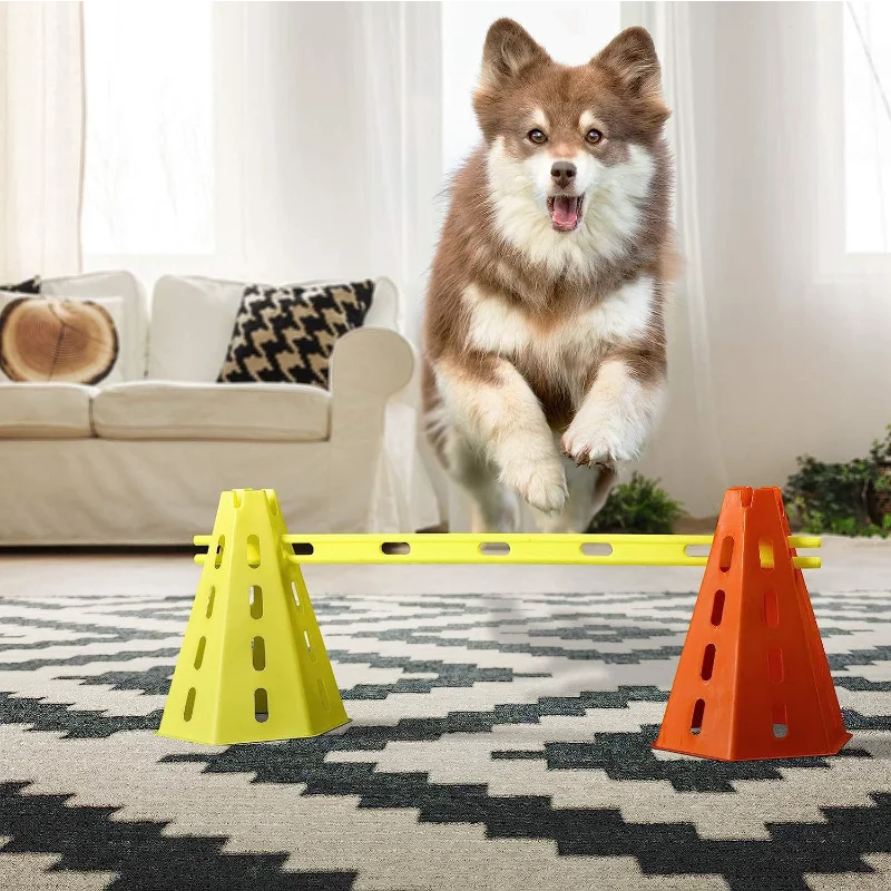 Set ajustable de barra de salto para perros con conos amarillos y naranjas sobre una alfombra estampada.
