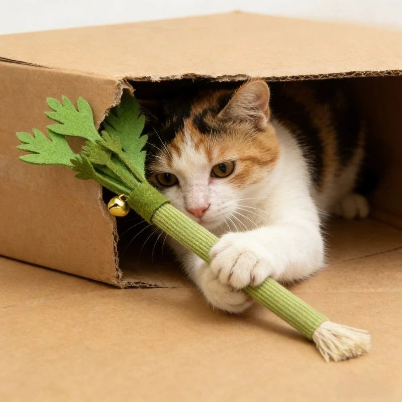 Interactive Catnip Chew Toy for Dental Health & Play