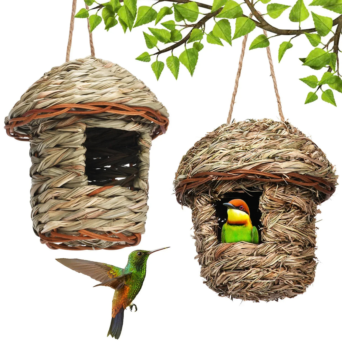 A handwoven natural grass bird nest hanging from a branch, with a small green bird perched inside.