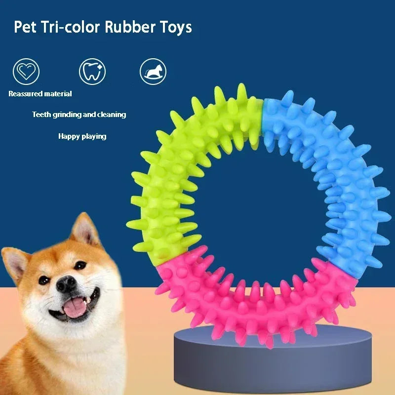 A tricolor rubber ring toy for dogs with teeth grinding and cleaning features shown next to a chihuahua.