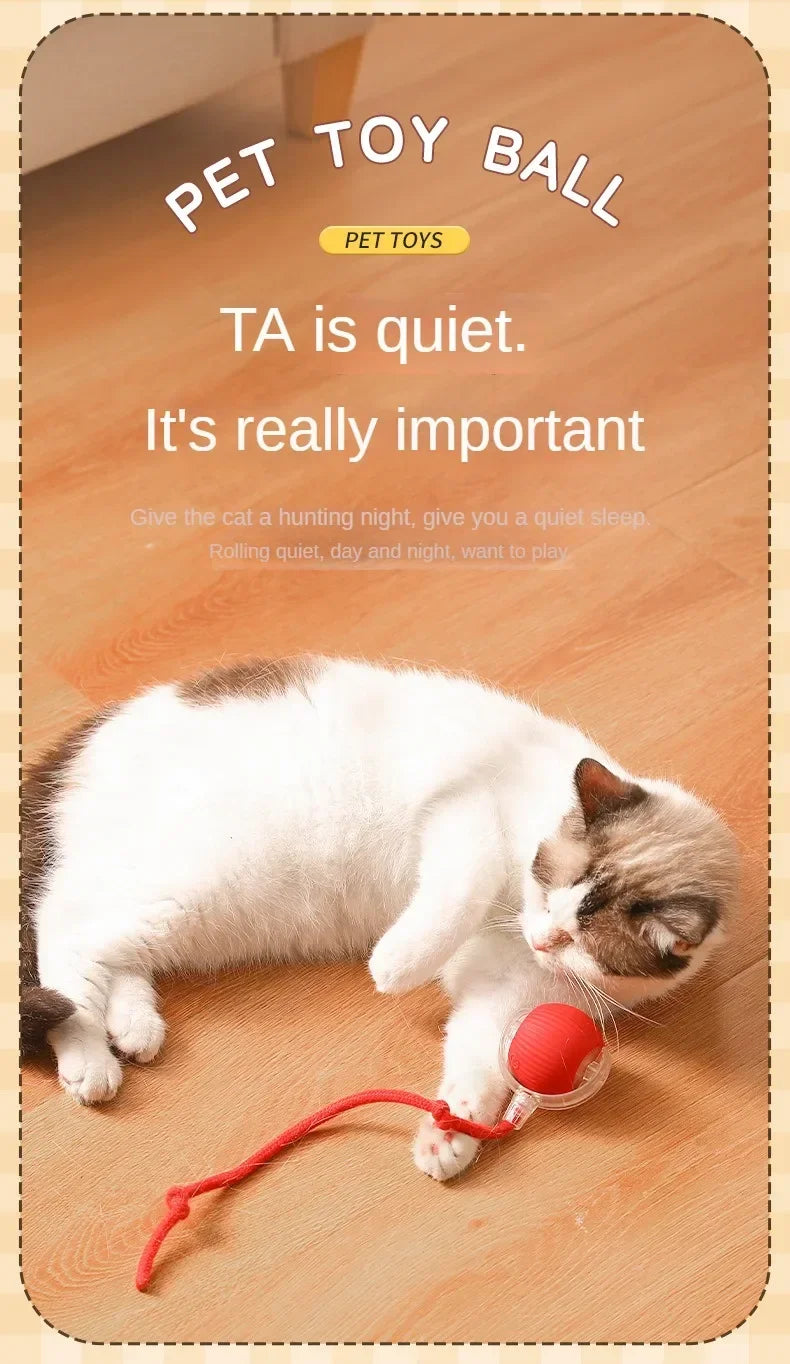 Interactive Automatic Rolling Cat Toy with Tail