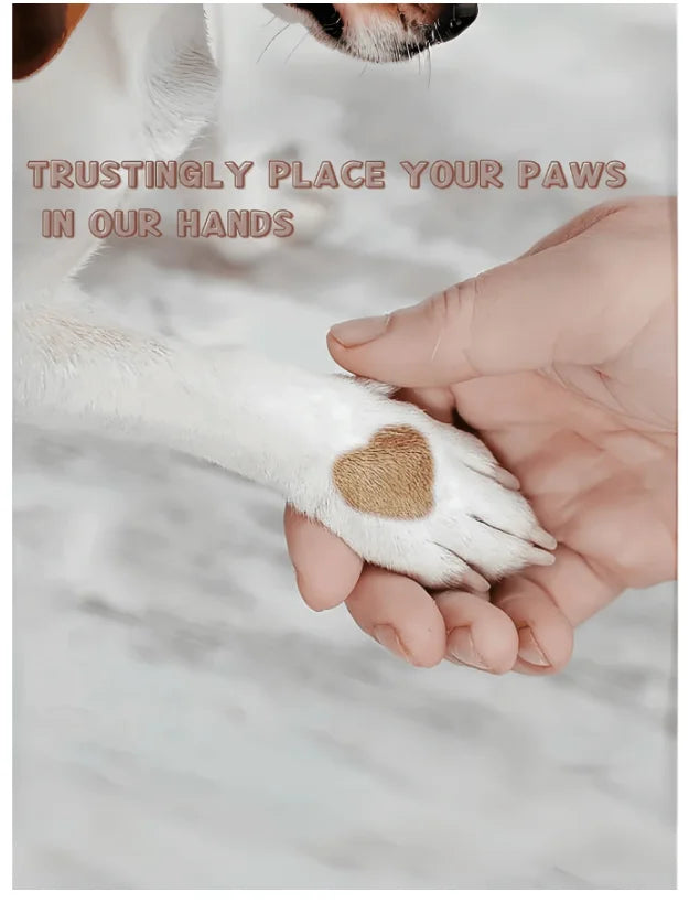 A person's hand gently holds a dog's paw with a heart-shaped file pad on the nail.