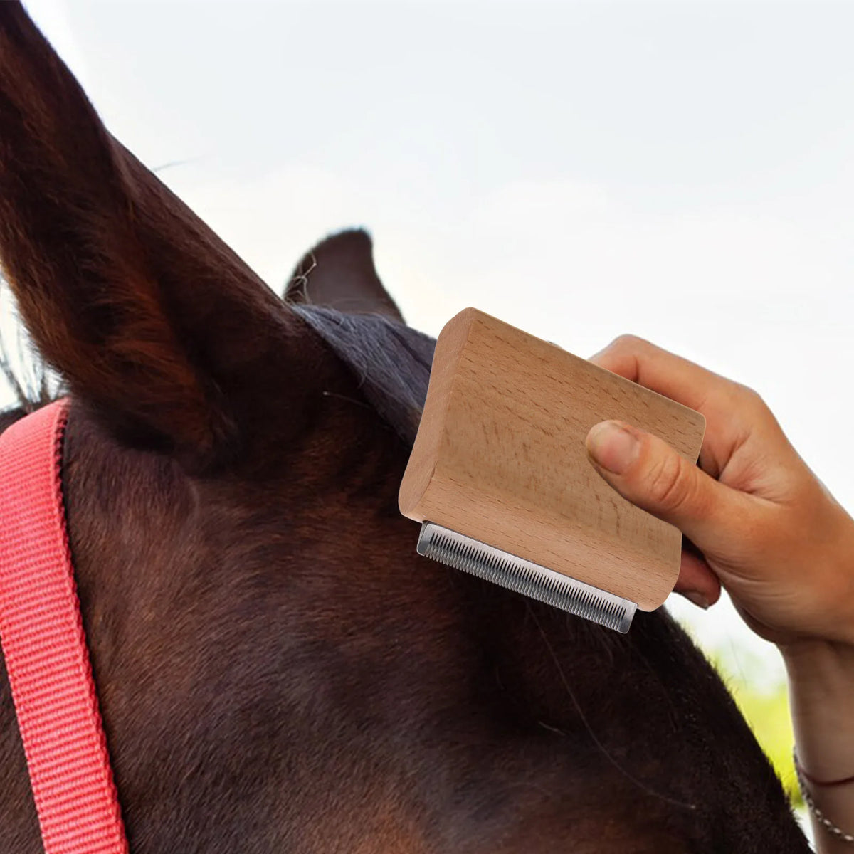 A hand holds a wooden horse grooming brush with a stainless steel scraper against a dark brown horse's coat.