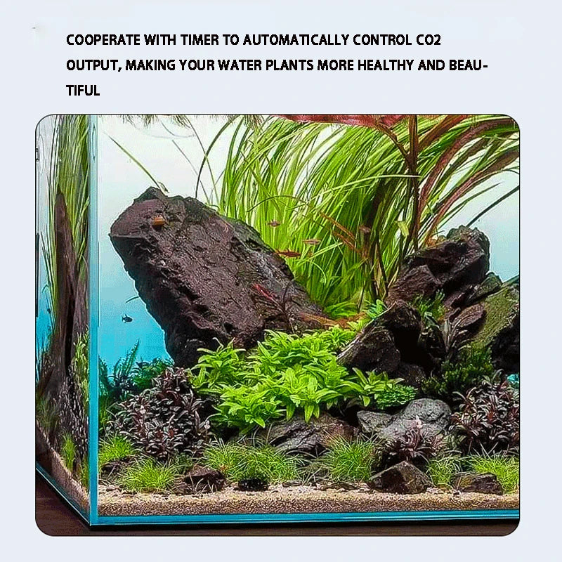 A close-up of a vibrant aquatic plant display featuring rocks and greenery, set within an aquarium.