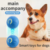 Interaktiver smarter Hundespielball
