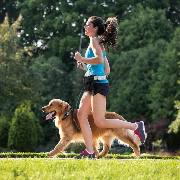 Hands-Free Reflective Dog Walking Belt with Storage Pouch