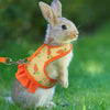 Adjustable Mesh Harness with Leash for Small Pets
