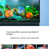 Smart WiFi Automatic Fish Feeder with App Control