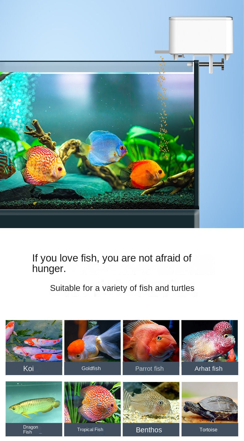 Smart WiFi Automatic Fish Feeder with App Control