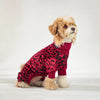 A small, light brown dog wearing a red leopard print jumpsuit.