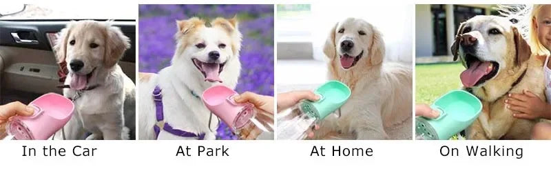 Bouteille d'eau portable pour chien, anti-fuites