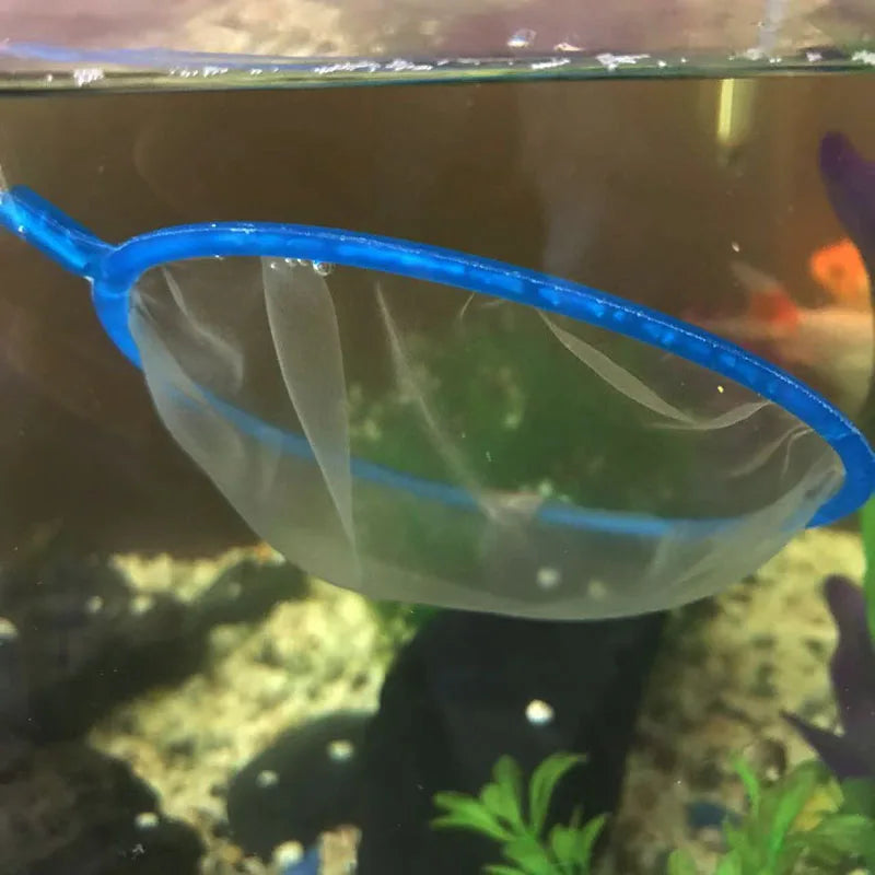 A clear, oval-shaped fine mesh aquarium landing net with a blue rim is suspended in water.