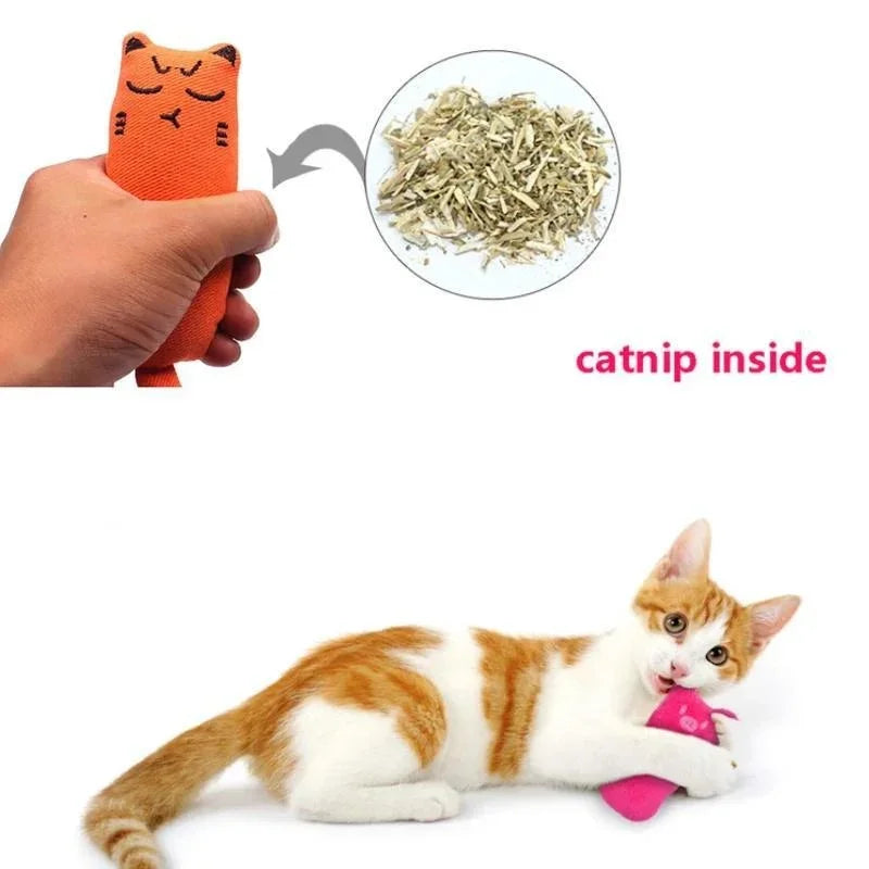 Kitten spielt mit einem Orangkatzen-Kratzspielzeug, eine Schale mit Katzenminze ist sichtbar.