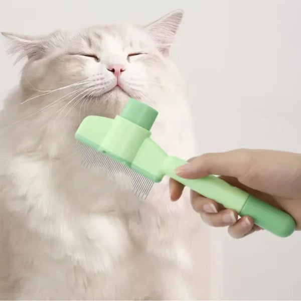 A hand holds a light green pet grooming brush near the face of a cat that is peacefully sleeping.