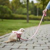 A small, light-colored dog is wearing a pink harness and leash while being held by a person on a paved path in a park.