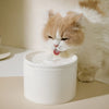 Dispensador de Agua Automático para Mascotas con Bol de Cerámica