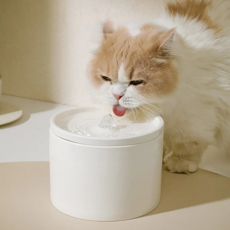 Dispensador de Agua Automático para Mascotas con Bol de Cerámica