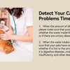 Fuente de Agua Inteligente para Gatos con WiFi y Sensor de Peso