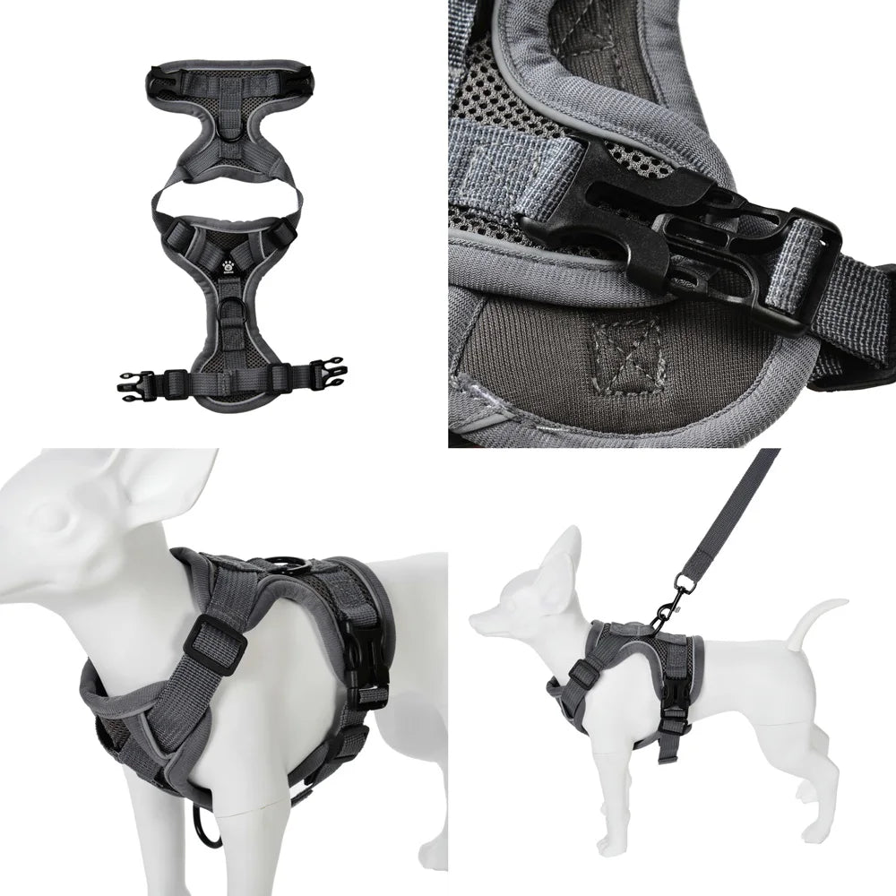 A set of adjustable no-pull dog harness and leash with reflective strips shown in various views.