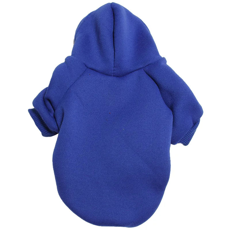 Pull gris royal confortable pour lapin avec capuche et poche pour petits animaux.