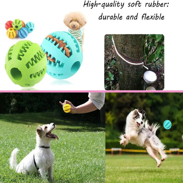 A green rubber dog ball and a blue treat-dispensing ball are shown alongside a fluffy dog.