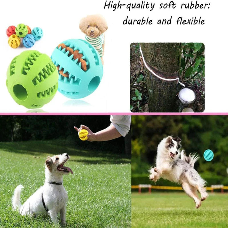 Balle interactive distributeur de friandises pour chien