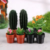 Set of 5 Miniature Potted Plants for Dollhouse Scenes