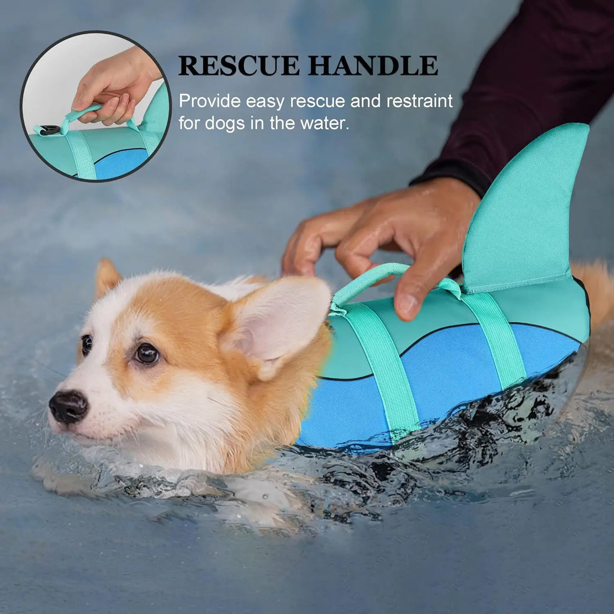 A hand is using a rescue handle on a bright blue and teal dog life jacket for a dog in the water.