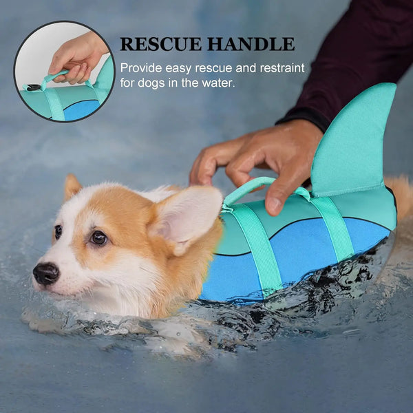 A hand is using a rescue handle on a bright blue and teal dog life jacket for a dog in the water.