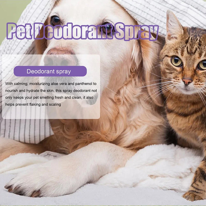 Lavender Oil Dog Deodorizer Spray
