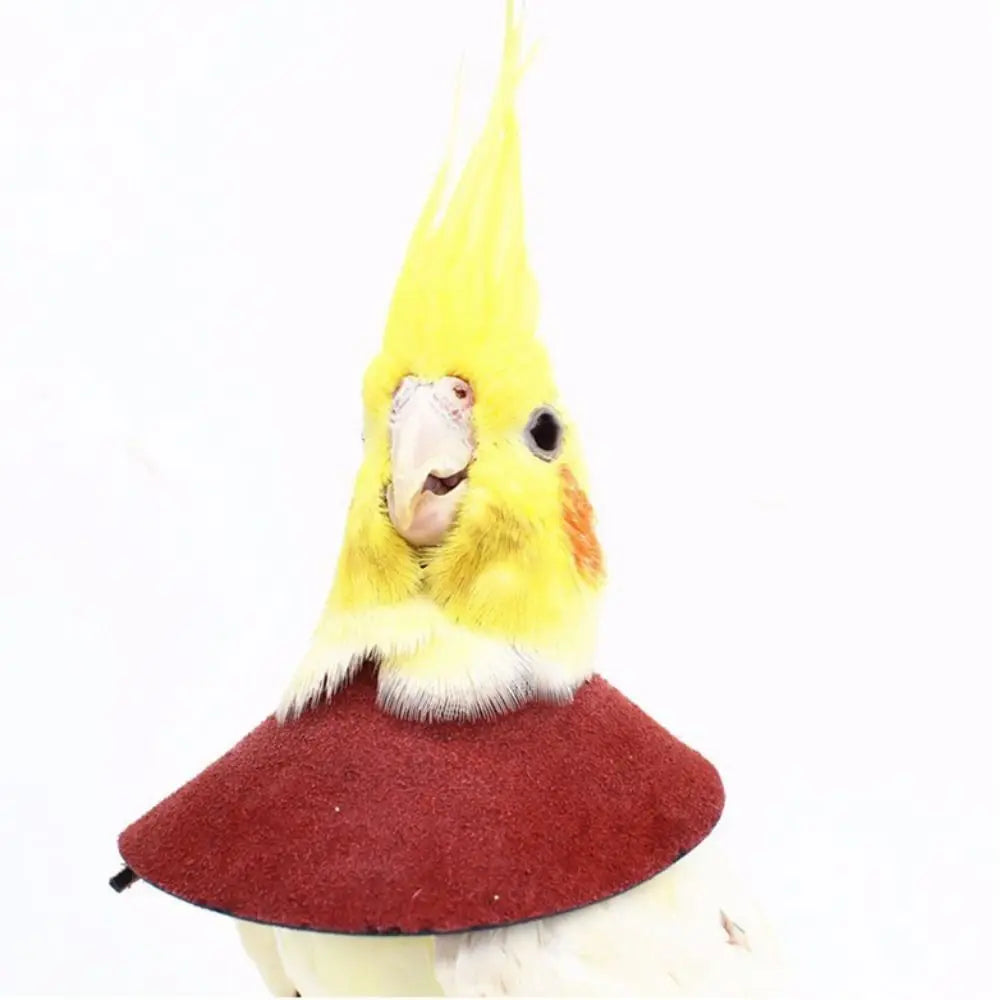 Adjustable Bird Recovery Collar – Anti-Pecking Protective Neck Sleeve